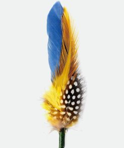 Vvbhaitao.shop00dcd67547 1
