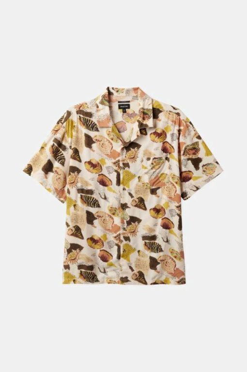 Vvbhaitao.shop01e779f2f3 1