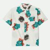 Vvbhaitao.shopecd4c16b98 1